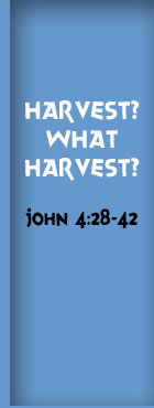 "Harvest? What Harvest?" John 4:28-42